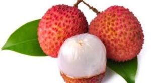 Lustful Lychee Aroma Lubricant