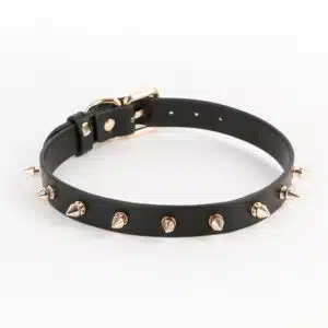 Taboo Spiked Collar-Medusa